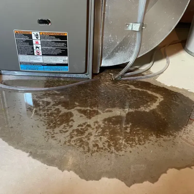 Appliance Leak Cleanup in Upson County, GA